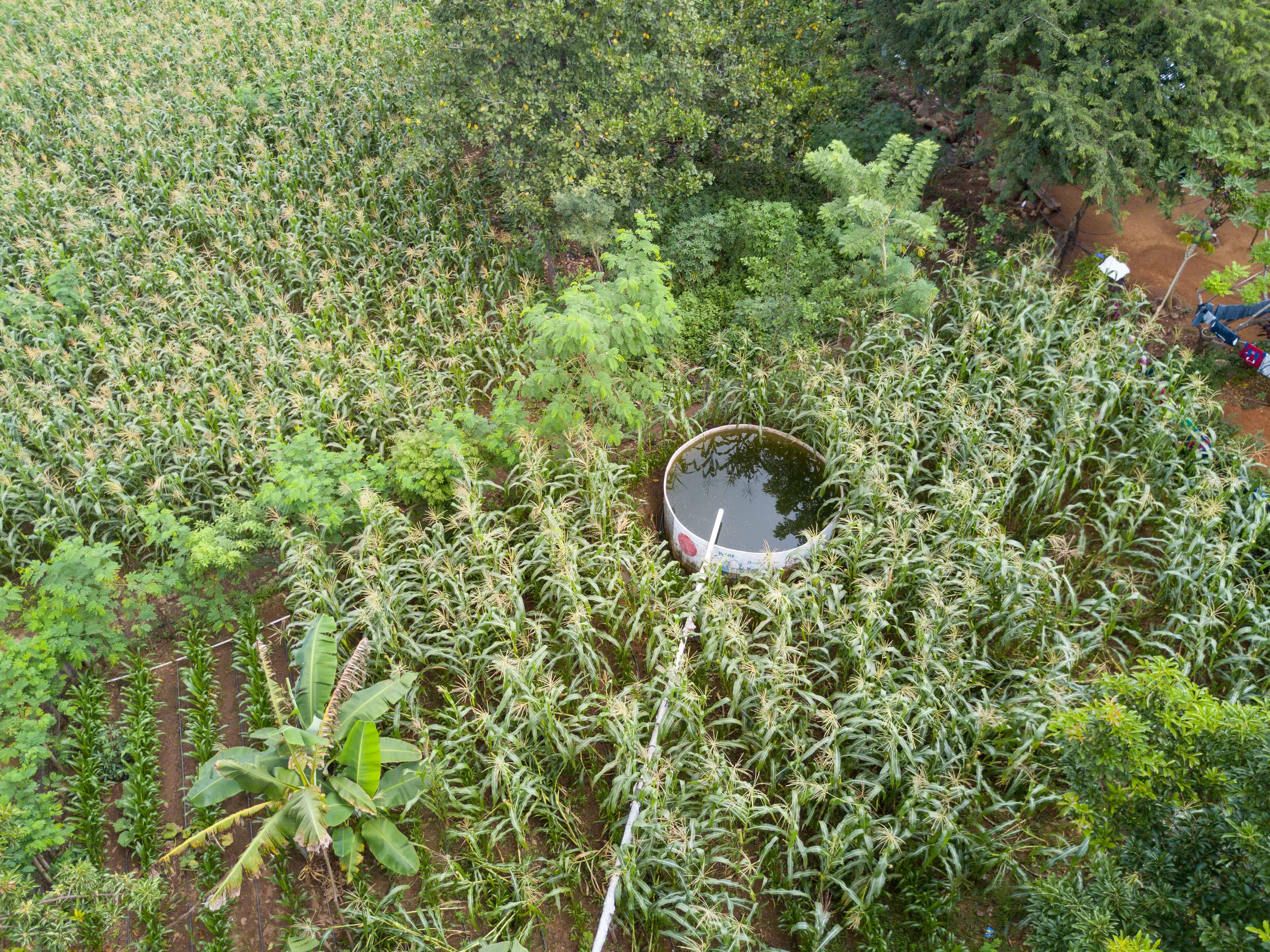 DJI_0004