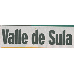 Valle de Sula logo