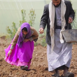 Afghan girl planting seeds.
