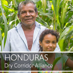 Honduras_Dry_Corridor_Expertise 
