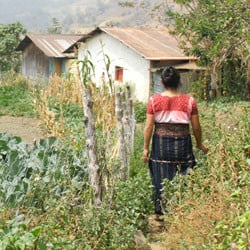 A Guatemalan woman walks next to a garden.