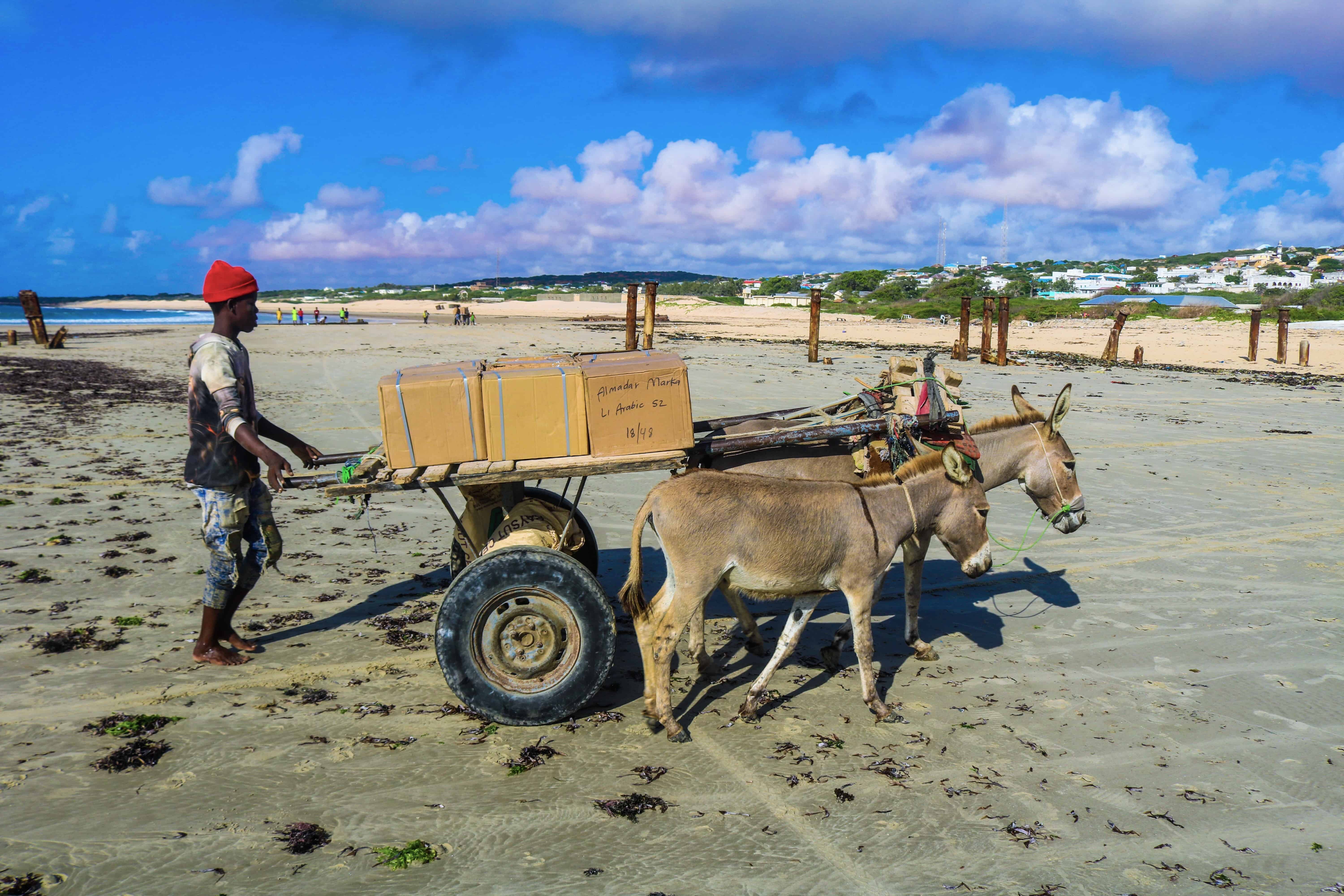 Books being transported on donkeycarts in Marka, Somalia